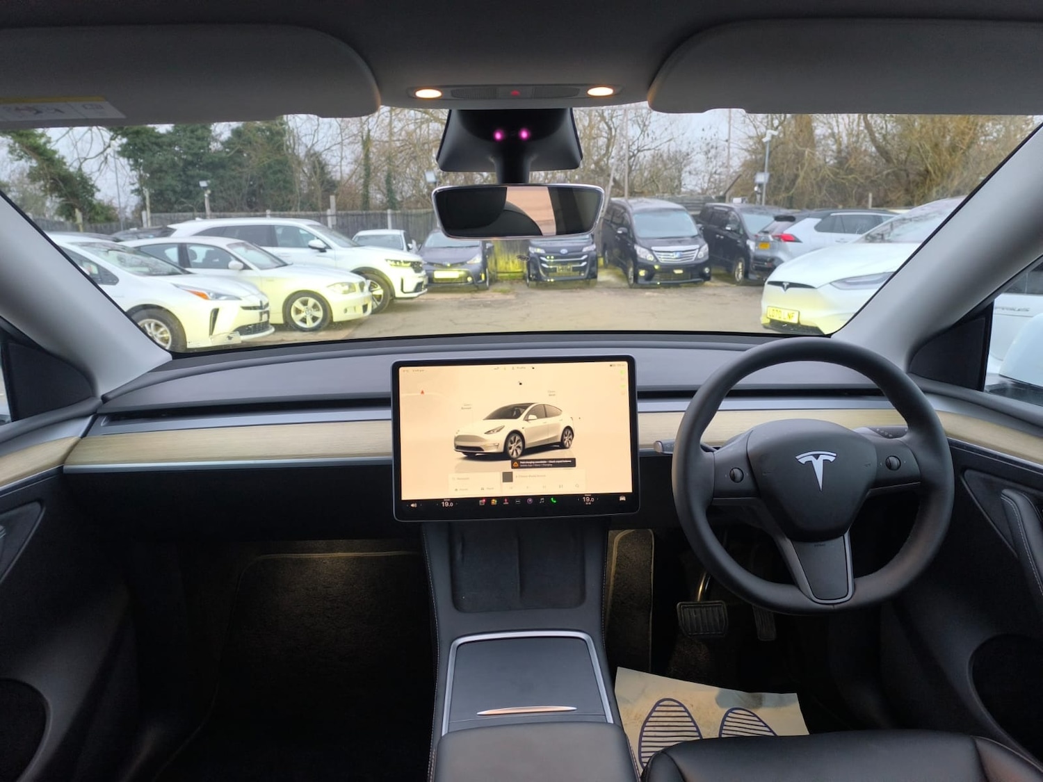 Used Tesla Model Y 2023 for sale - 77125859: Photo 14