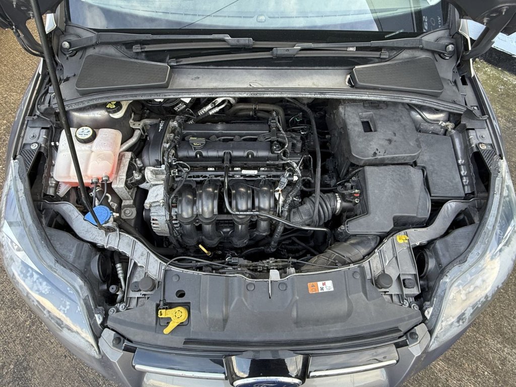 Used Ford Focus 2011 for sale - 77319450: Photo 19