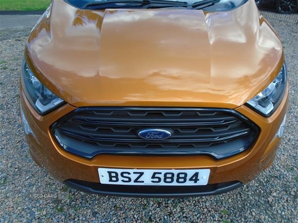 Used Ford Ecosport 2018 for sale - 72446763: Photo 12