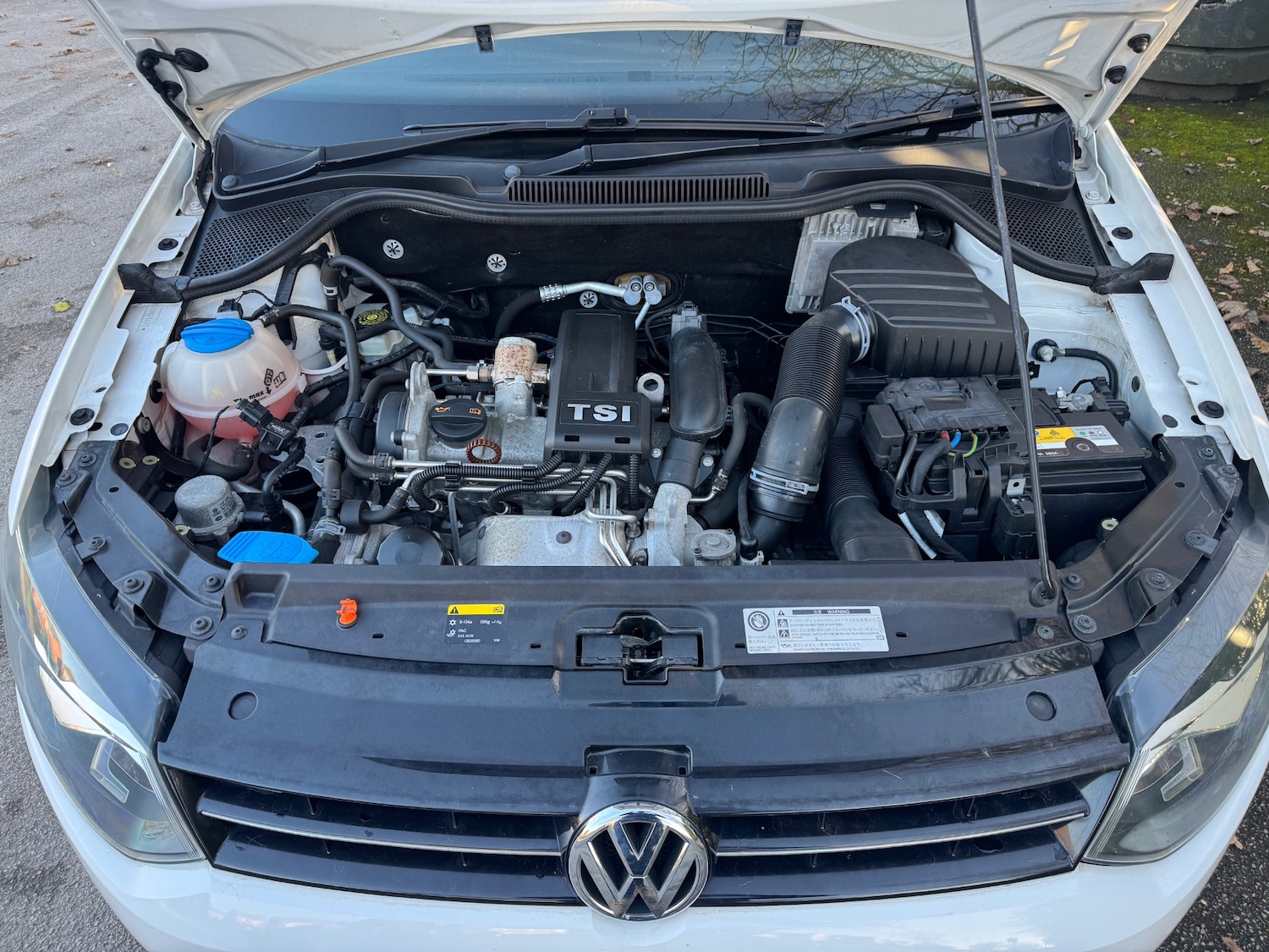 Used Volkswagen Polo 2023 for sale - 76602748: Photo 14