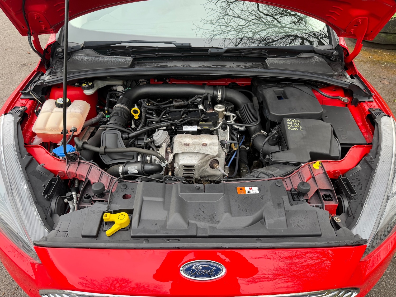 Used Ford Focus 2016 for sale - 77303910: Photo 11