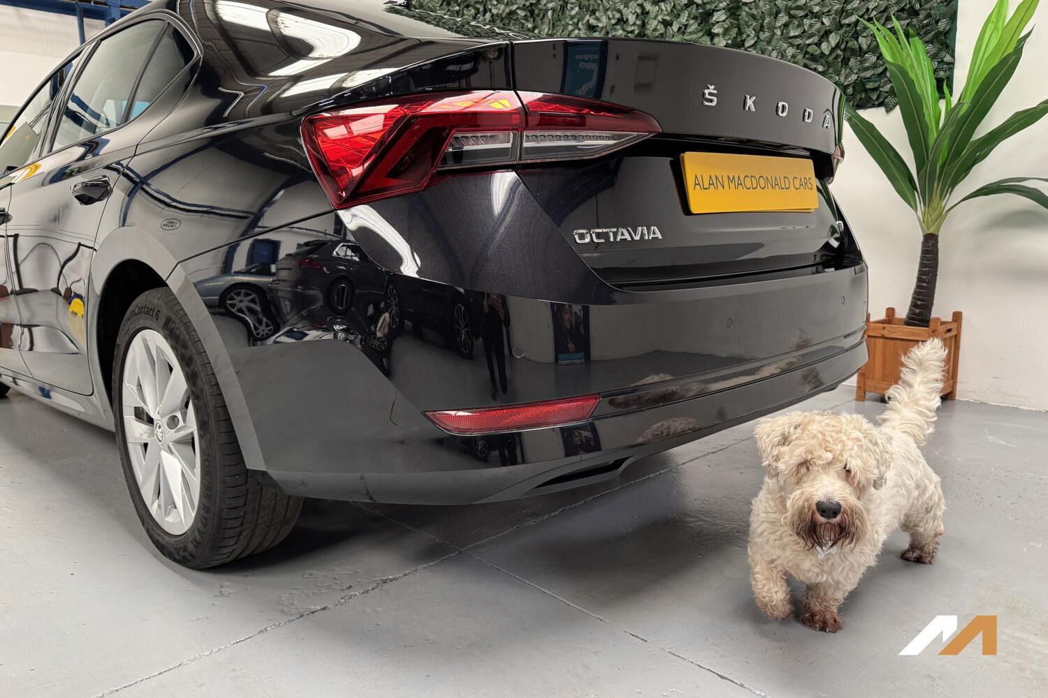 Used Skoda Octavia 2021 for sale - 78199308: Photo 17