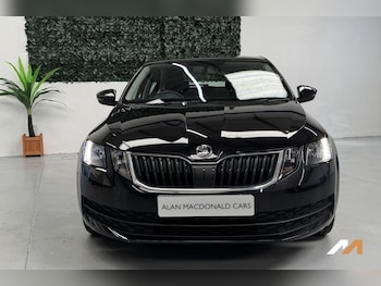 Used Skoda Octavia 2019 for sale - 79548526: Photo