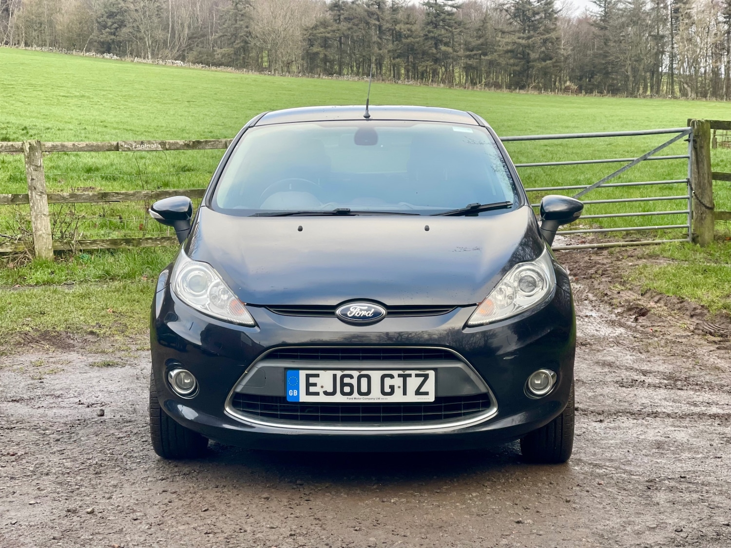 Used Ford Fiesta 2010 for sale - 77046197: Photo 2