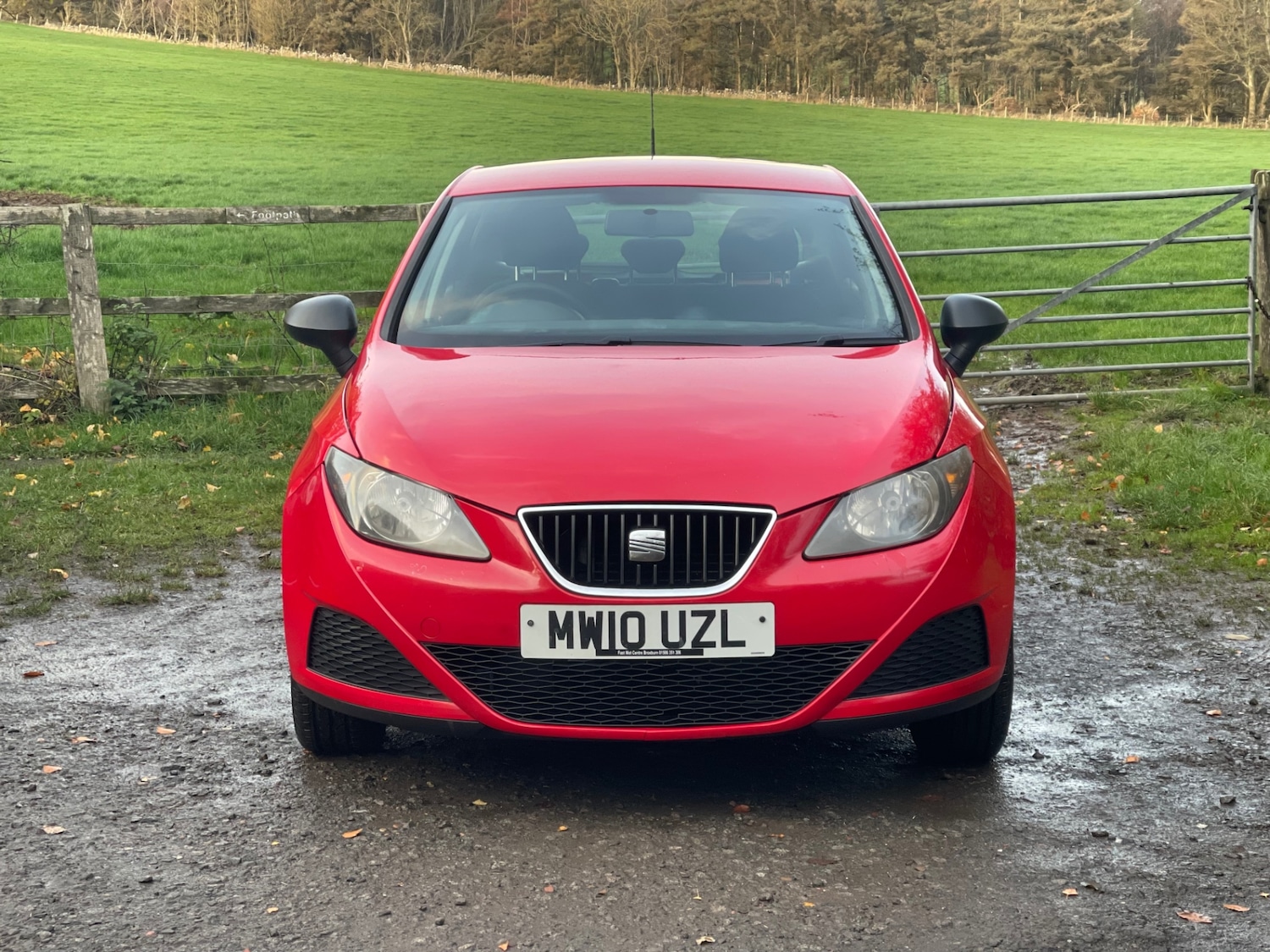 Used SEAT Ibiza 2010 for sale - 76533629: Photo 2