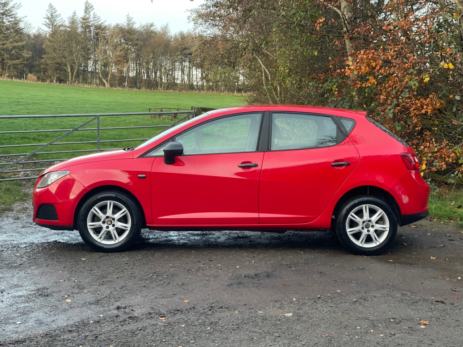 Used SEAT Ibiza 2010 for sale - 76533629: Photo 3