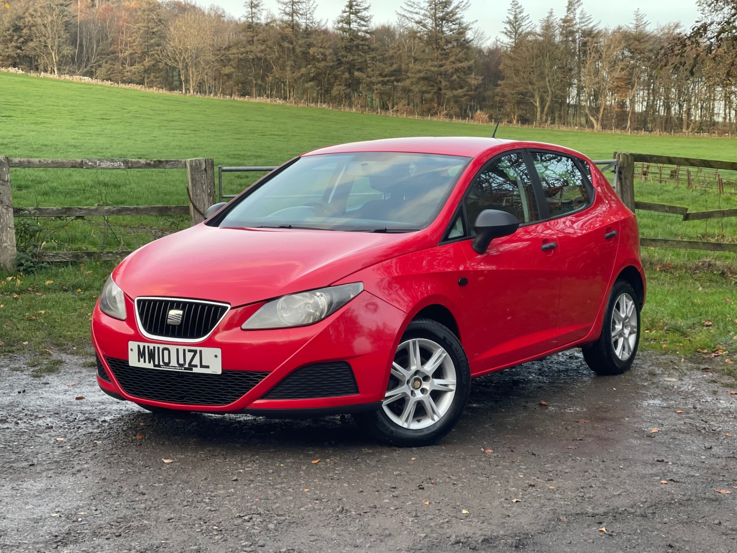 Used SEAT Ibiza 2010 for sale - 76533629: Photo 4