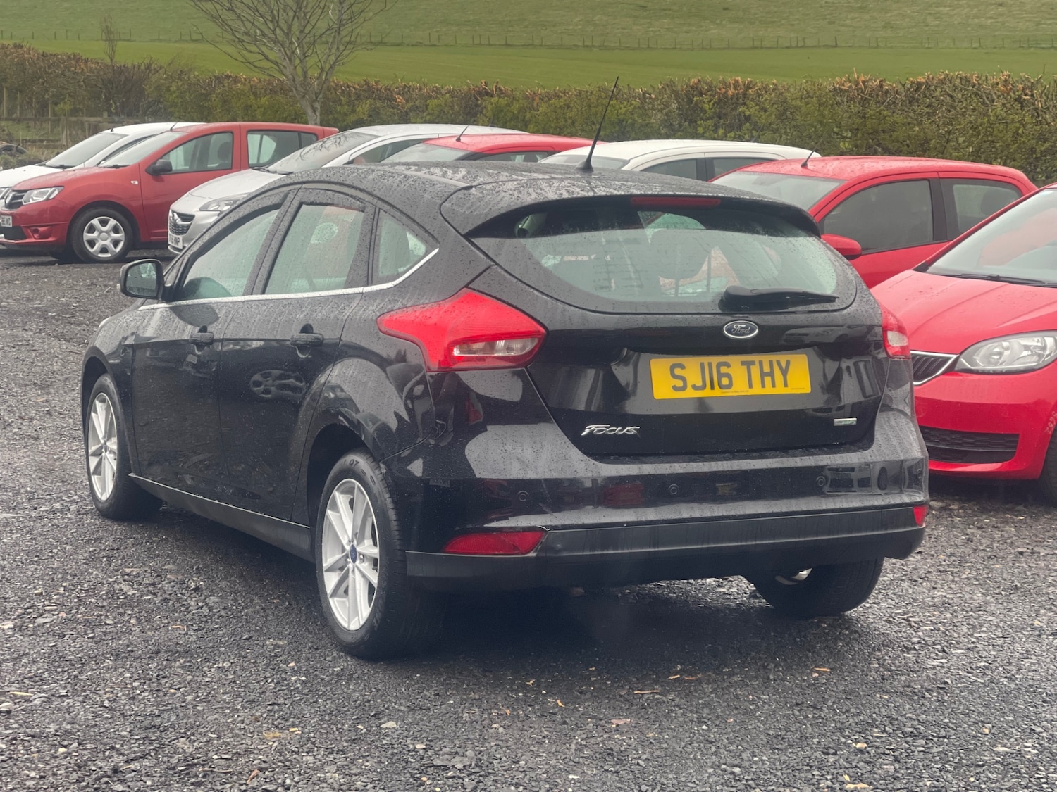 Used Ford Focus 2016 for sale - 78133689: Photo 4