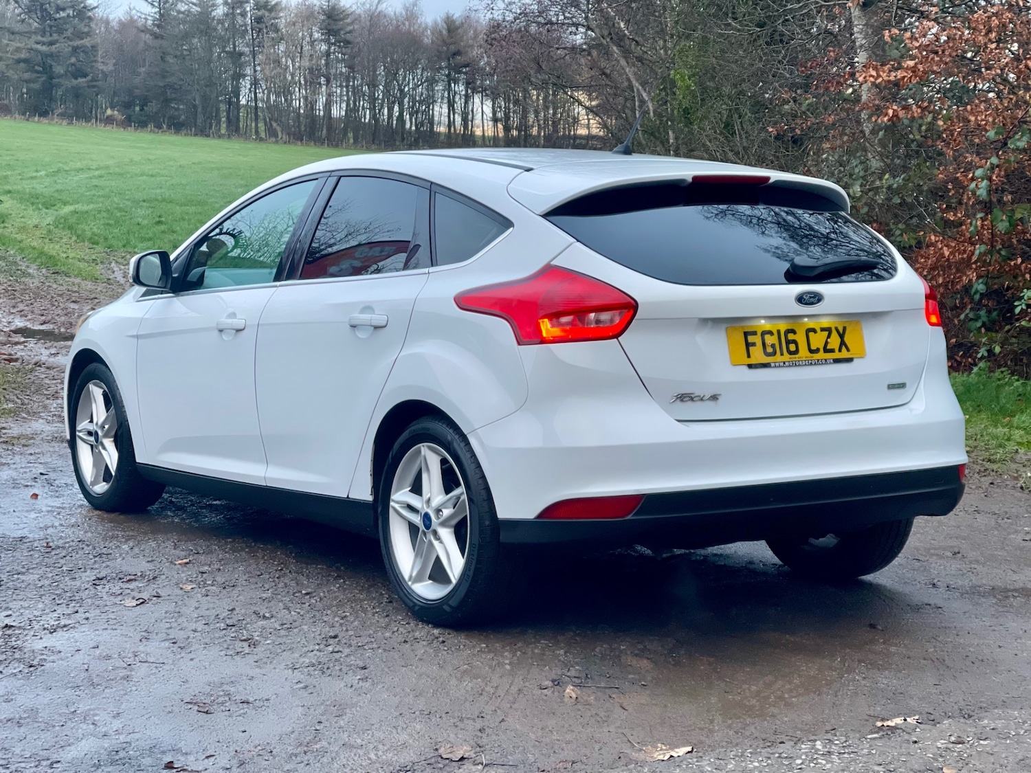 Used Ford Focus 2016 for sale - 76681783: Photo 10