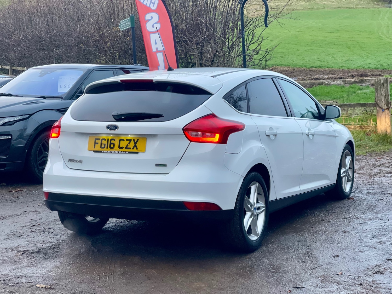 Used Ford Focus 2016 for sale - 76681783: Photo 6