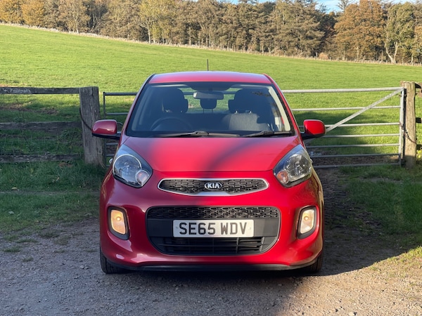 Used Kia Picanto 2016 for sale - 76218988: Photo 2