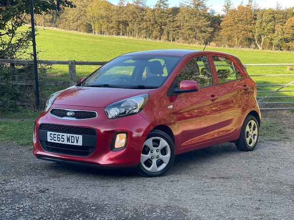 Used Kia Picanto 2016 for sale - 76218988: Photo 3