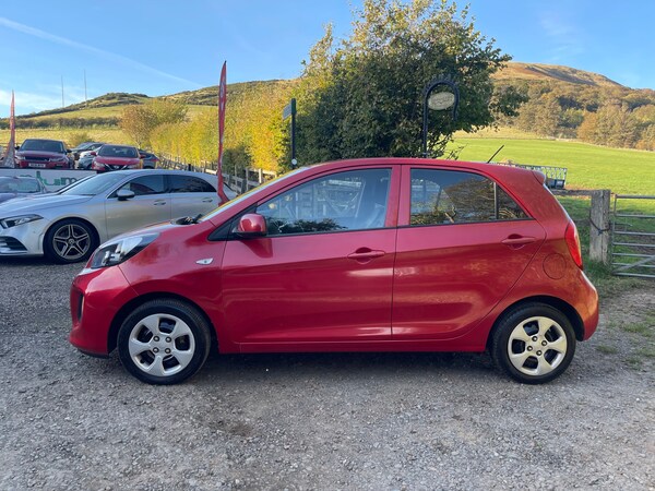 Used Kia Picanto 2016 for sale - 76218988: Photo 5