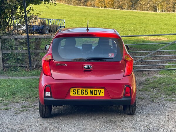 Used Kia Picanto 2016 for sale - 76218988: Photo 9