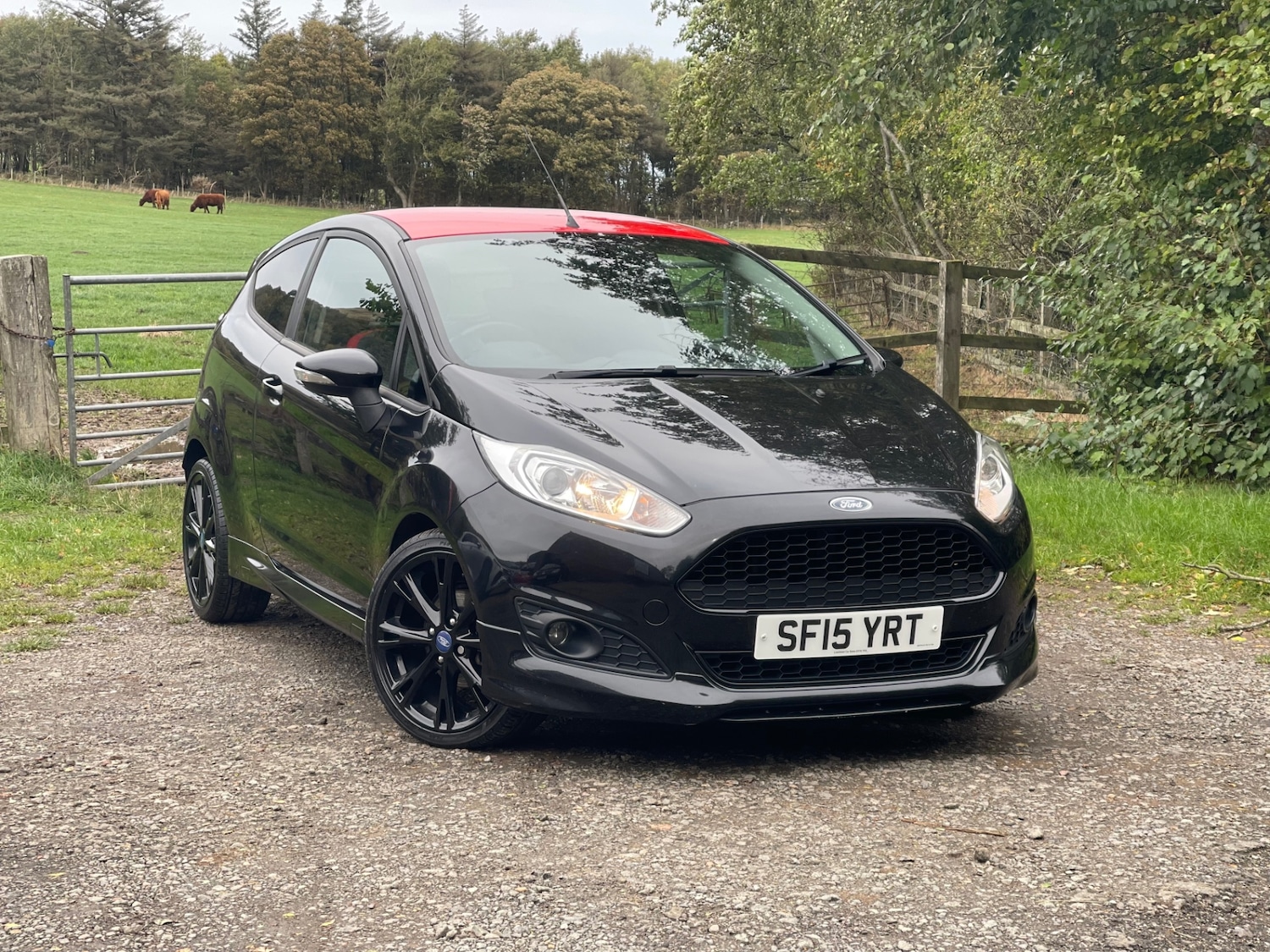 Used Ford Fiesta 2015 for sale - 76046161: Photo 1