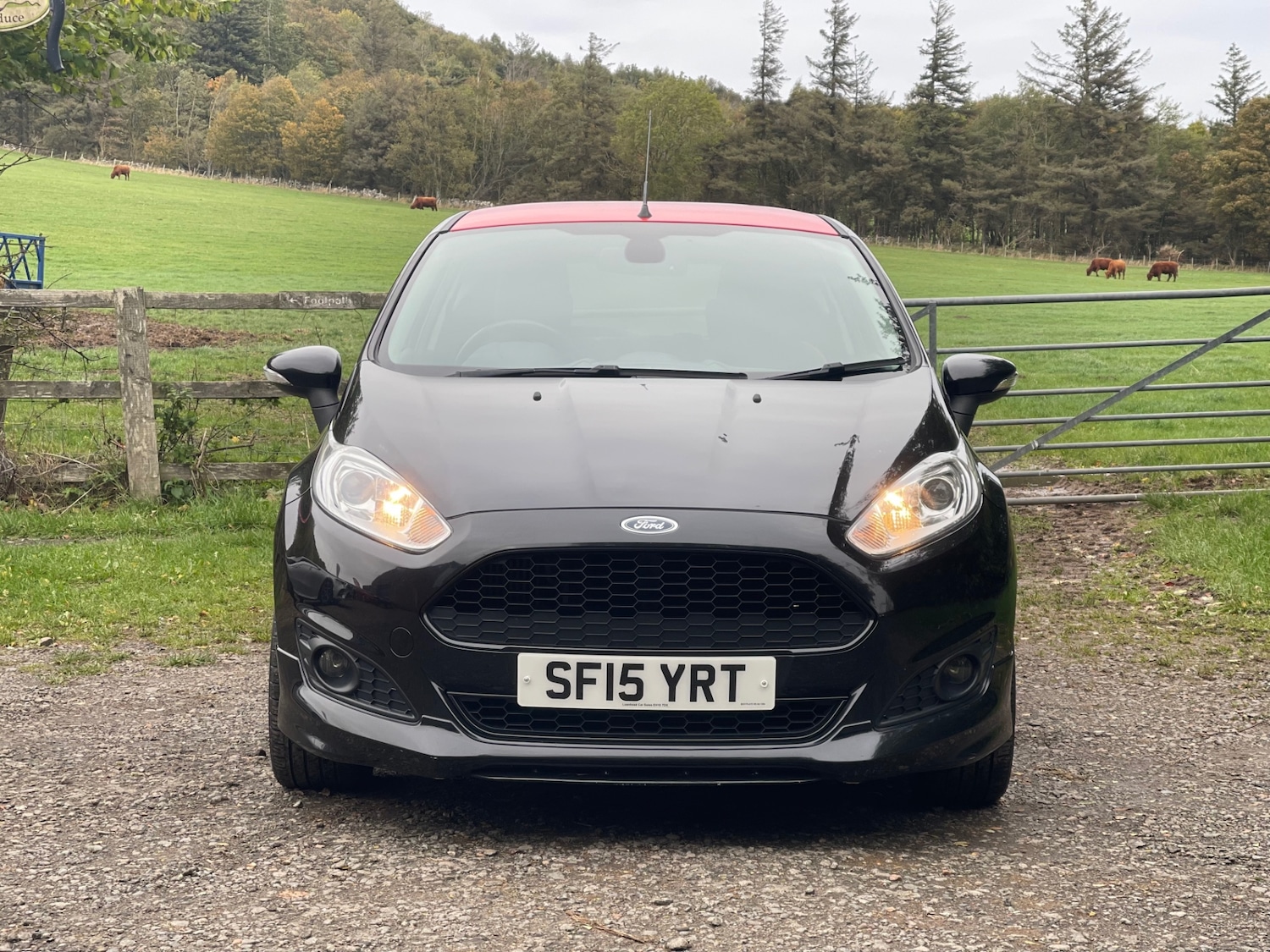 Used Ford Fiesta 2015 for sale - 76046161: Photo 2