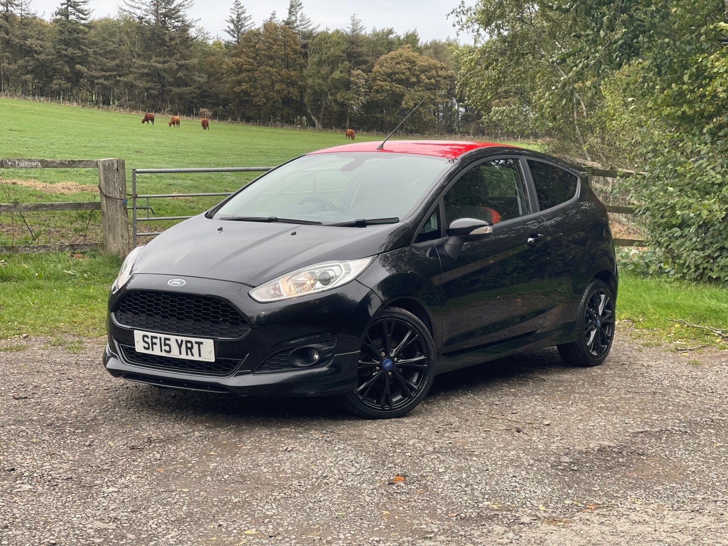 Used Ford Fiesta 2015 for sale - 76046161: Photo 3