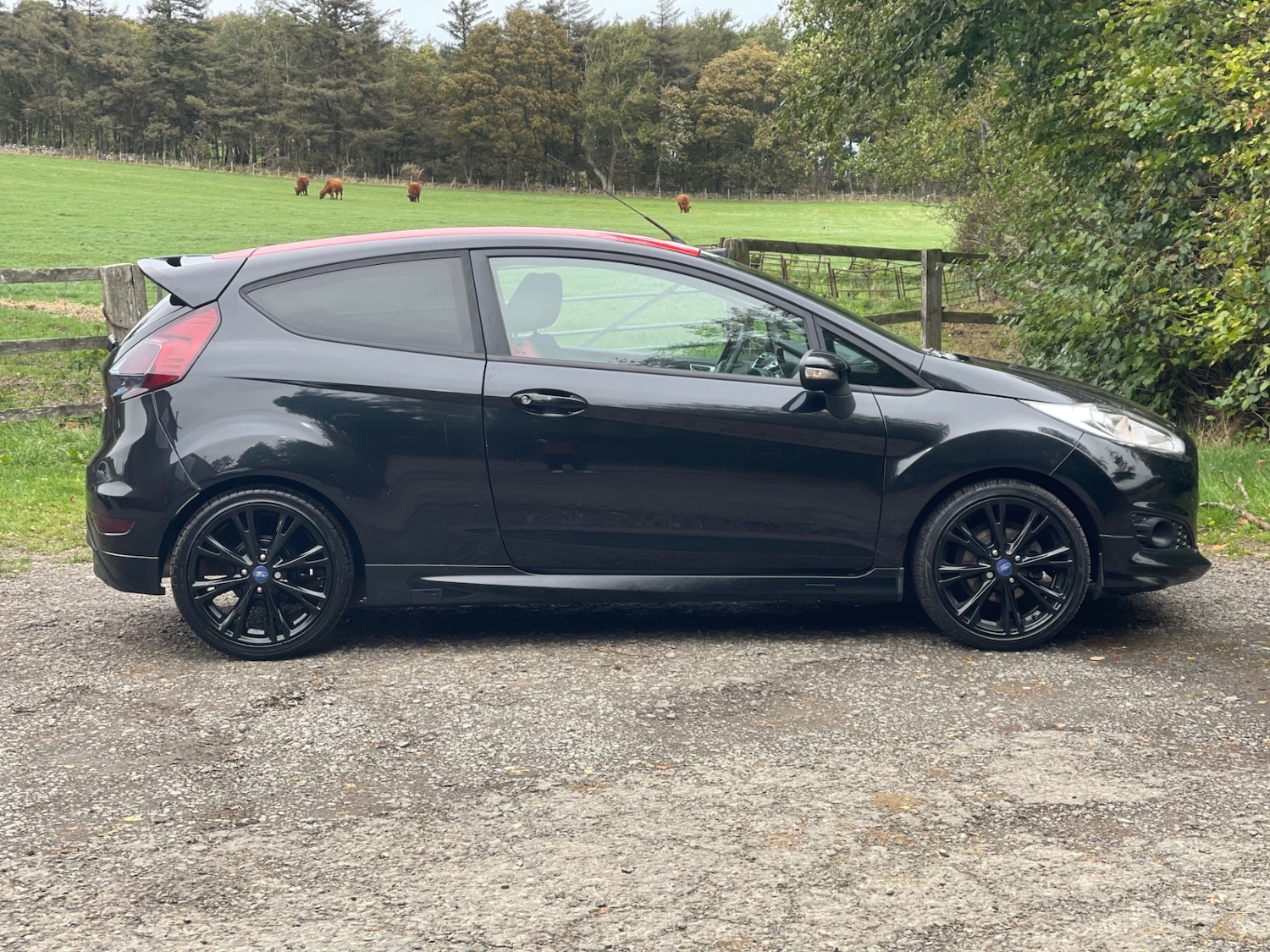 Used Ford Fiesta 2015 for sale - 76046161: Photo 5
