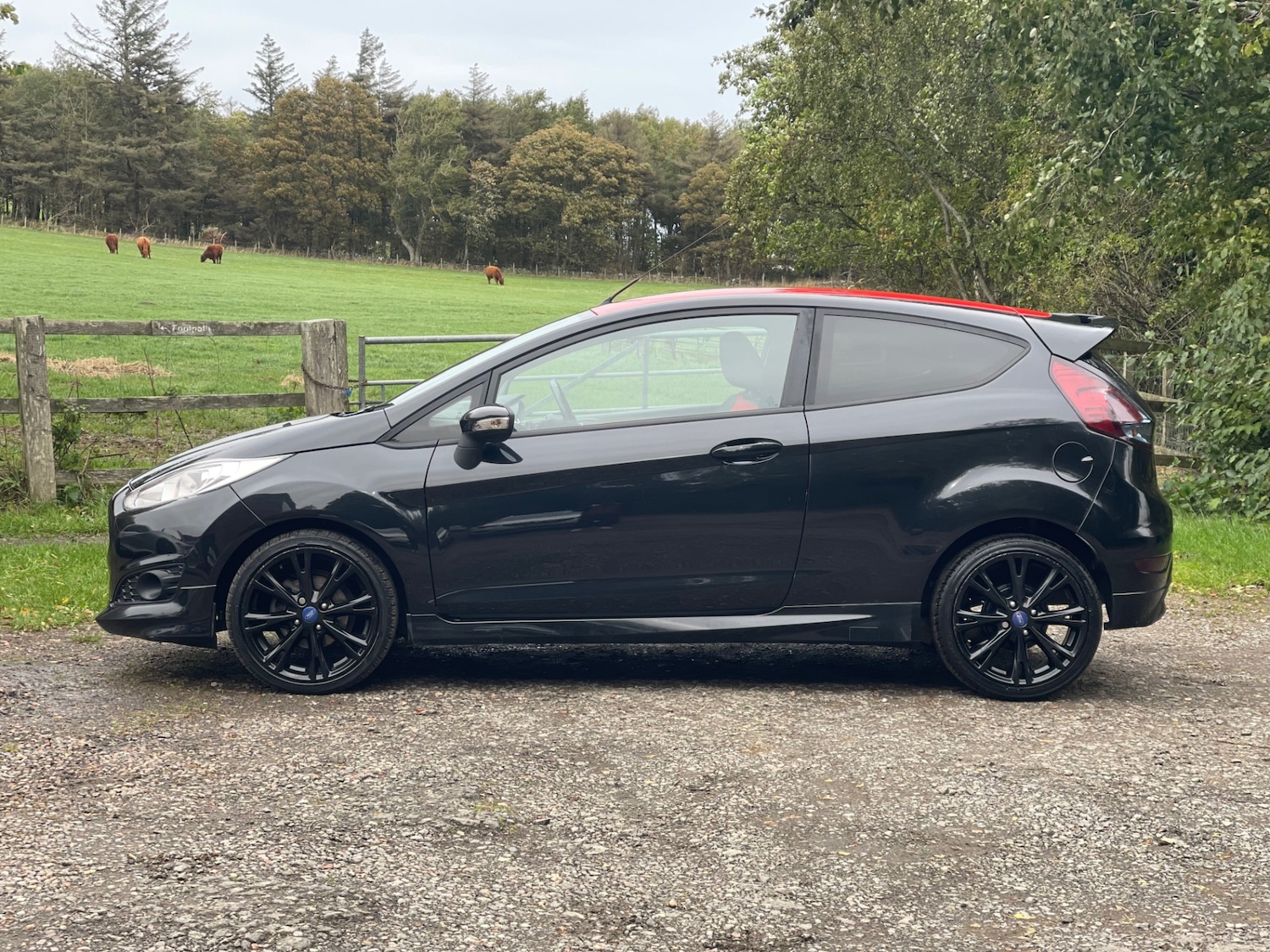 Used Ford Fiesta 2015 for sale - 76046161: Photo 6