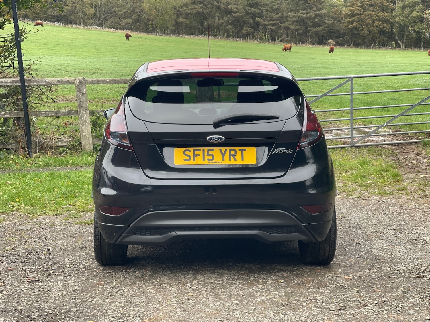 Used Ford Fiesta 2015 for sale - 76046161: Photo 9