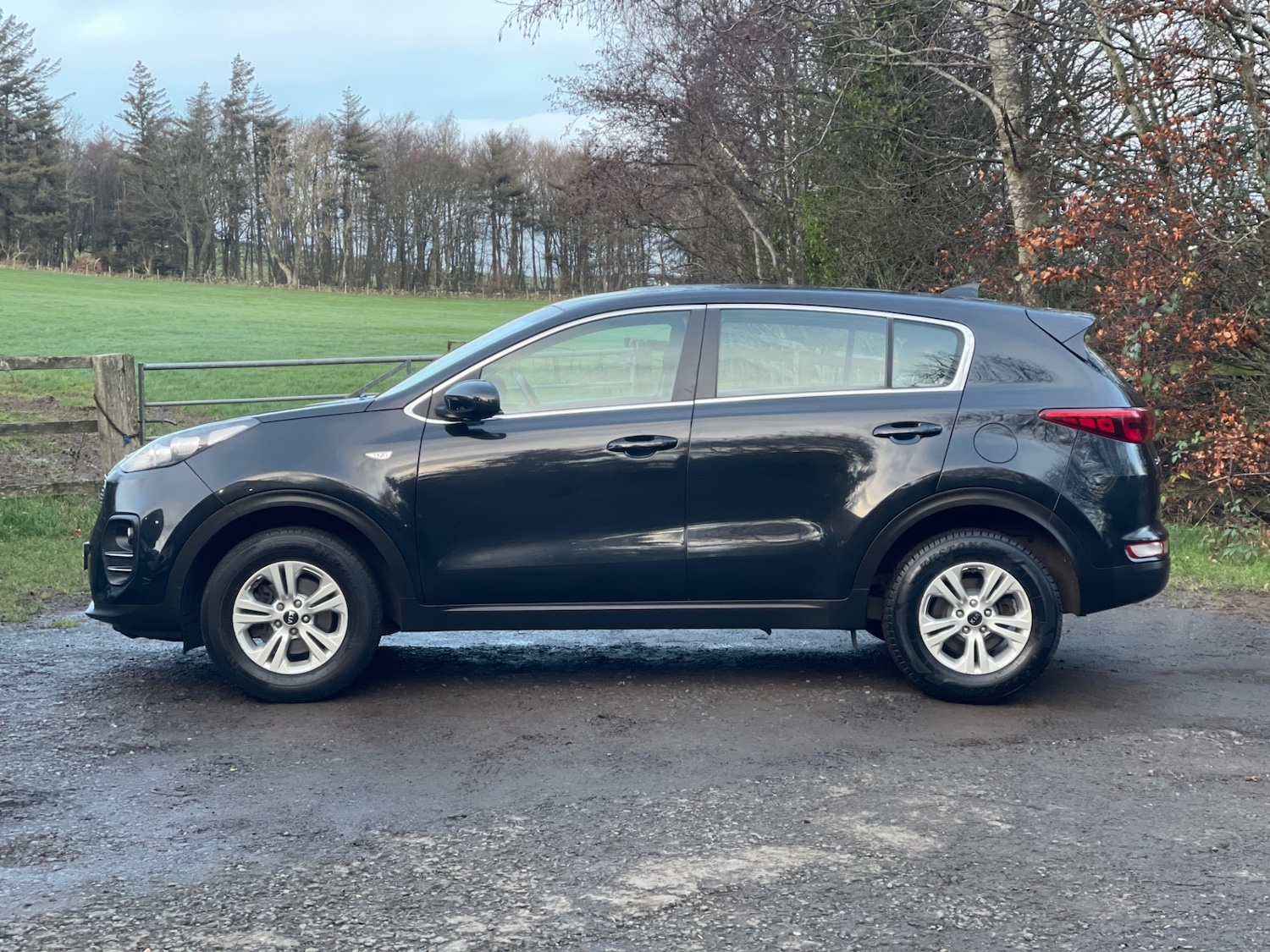 Used Kia Sportage 2016 for sale - 76859156: Photo 5