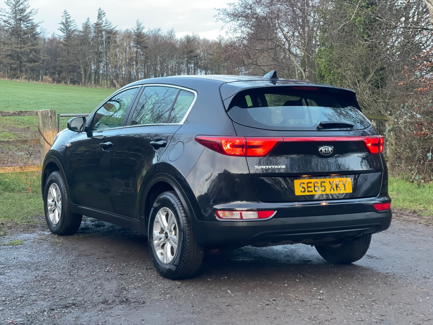 Used Kia Sportage 2016 for sale - 76859156: Photo 6