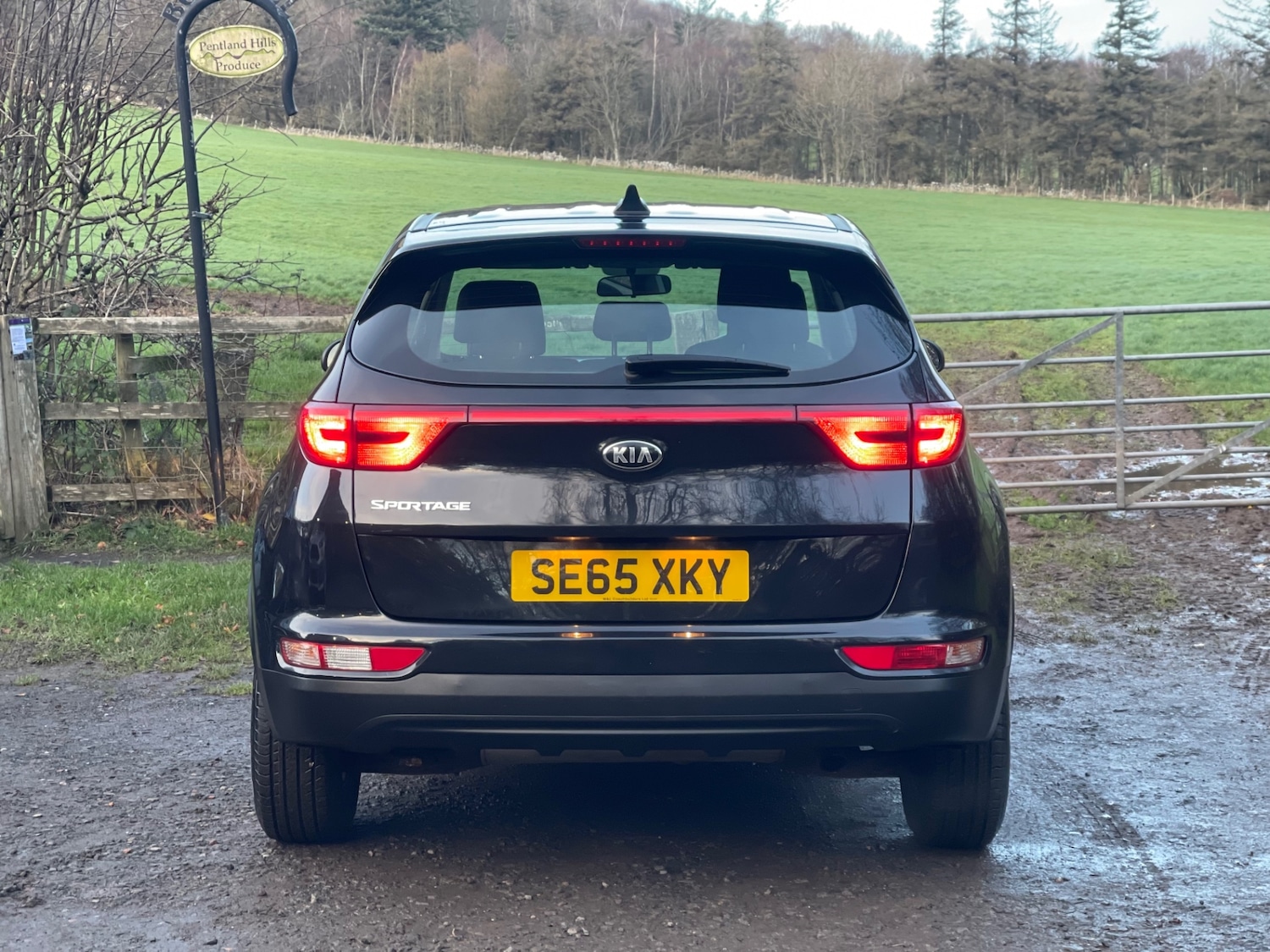 Used Kia Sportage 2016 for sale - 76859156: Photo 7