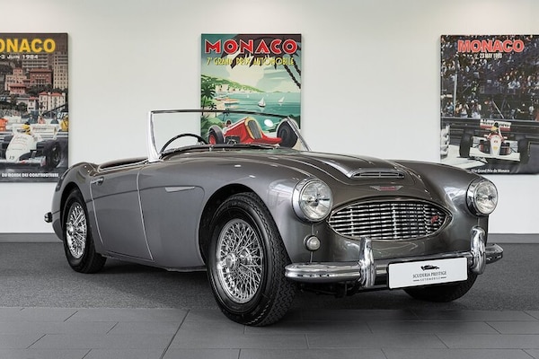 Used Austin Healey 2020 for sale - 75254263: Photo 1