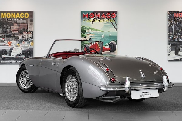 Used Austin Healey 2020 for sale - 75254263: Photo 2