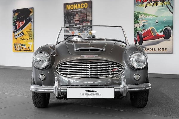 Used Austin Healey 2020 for sale - 75254263: Photo 5