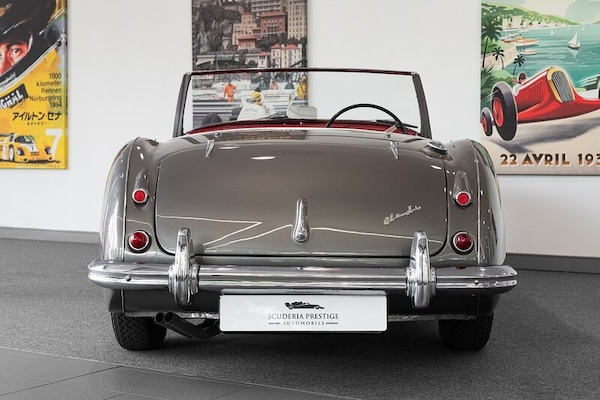 Used Austin Healey 2020 for sale - 75254263: Photo 6