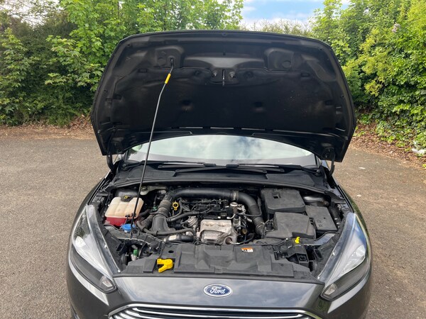 Used Ford Focus 2016 for sale - 74686235: Photo 18