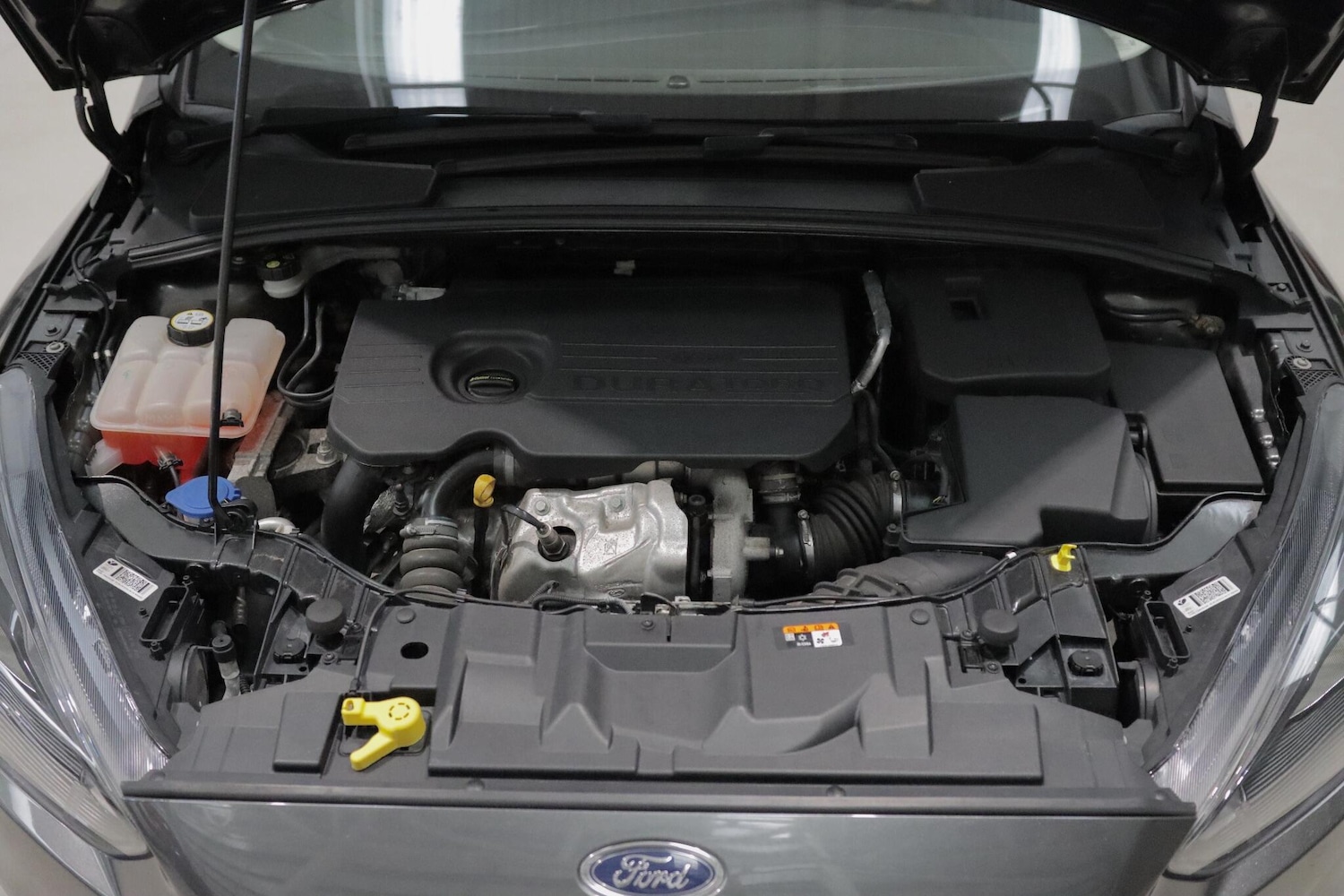 Used Ford Focus 2016 for sale - 76399194: Photo 26