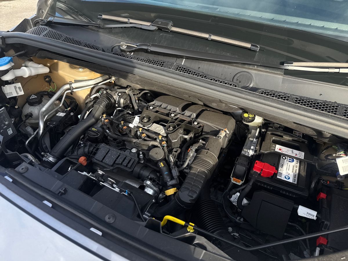 Vehicle 31