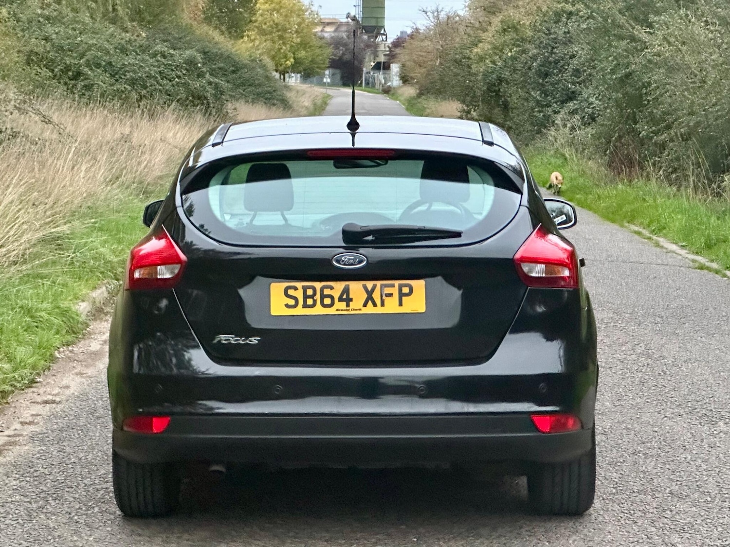 Used Ford Focus 2015 for sale - 76295147: Photo 18