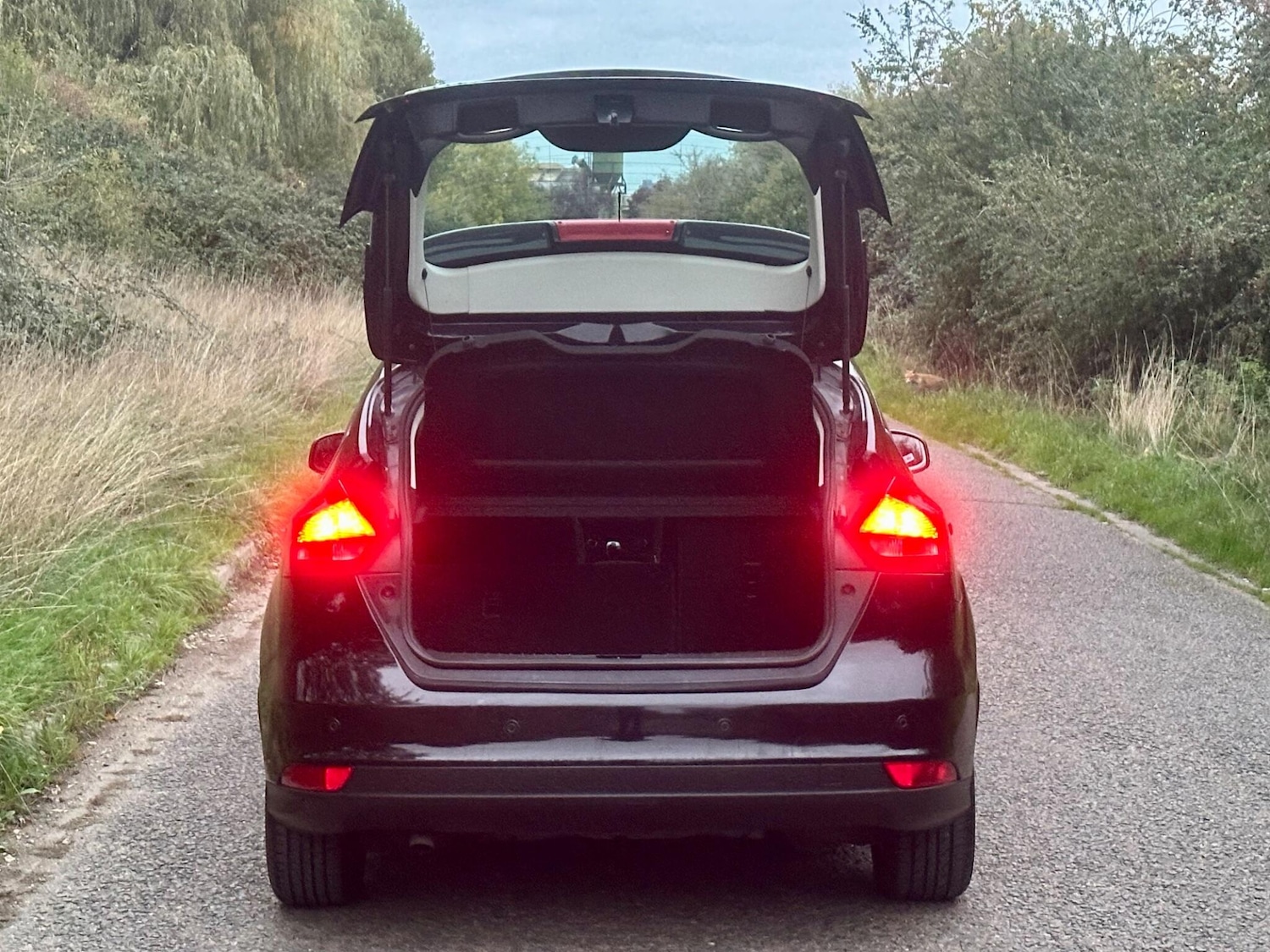 Used Ford Focus 2015 for sale - 76295147: Photo 19