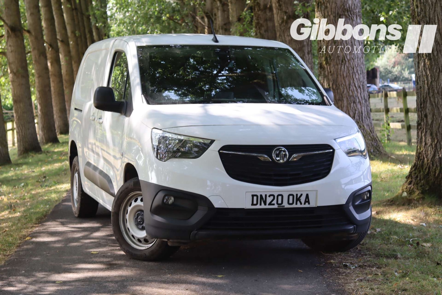 Used Vauxhall Combo 2020 for sale - 76719565: Photo 1