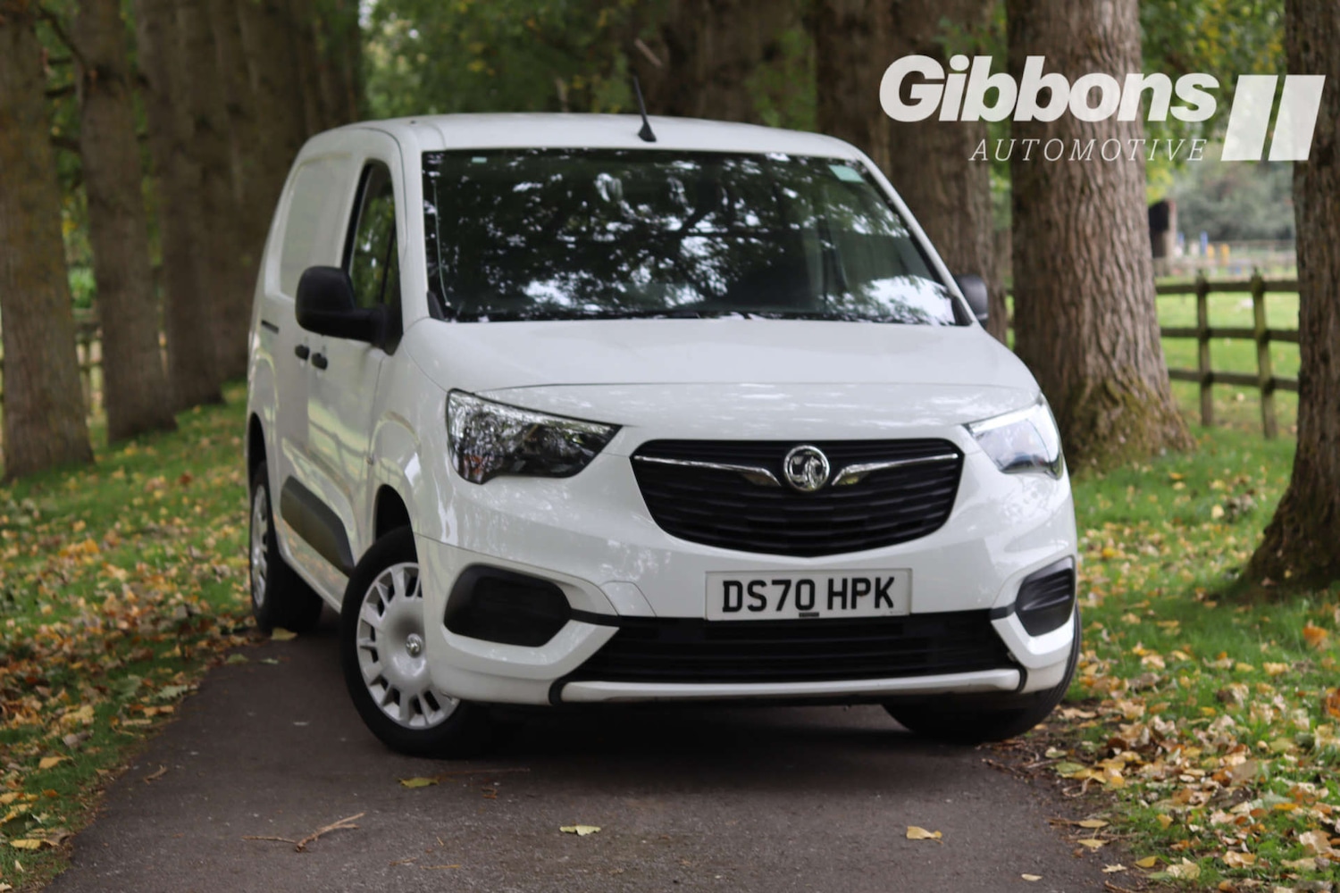 Used Vauxhall Combo 2020 for sale - 76719543: Photo 1
