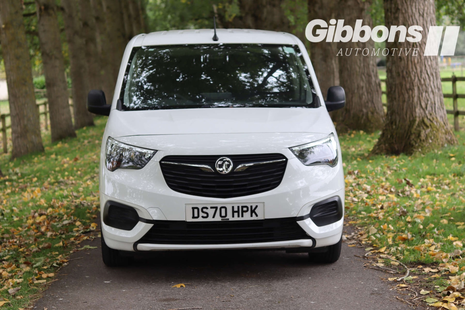 Used Vauxhall Combo 2020 for sale - 76719543: Photo 2