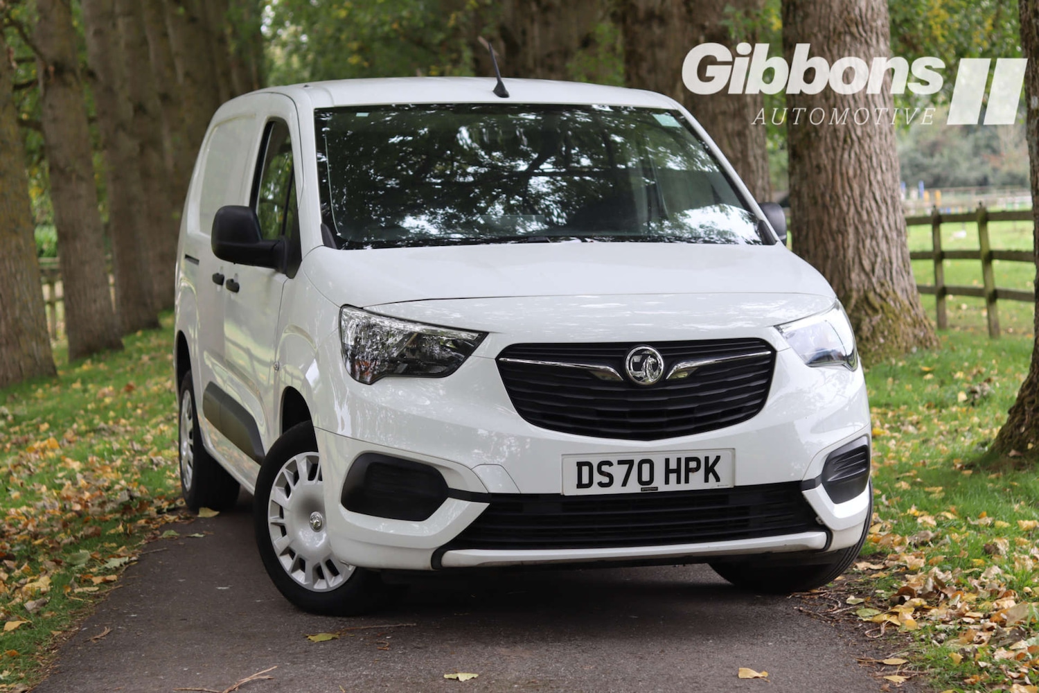 Used Vauxhall Combo 2020 for sale - 76719543: Photo 9