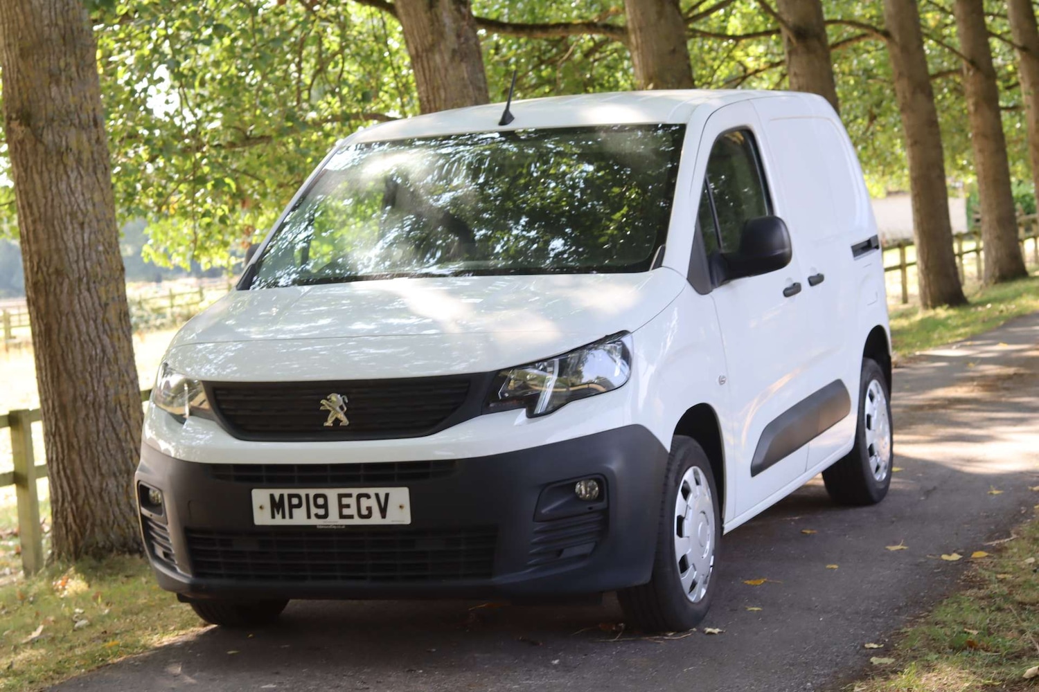 Used Peugeot Partner 2019 for sale - 77022304: Photo 18