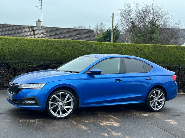 Used Skoda Octavia 2023 for sale - 78021055: Photo 7