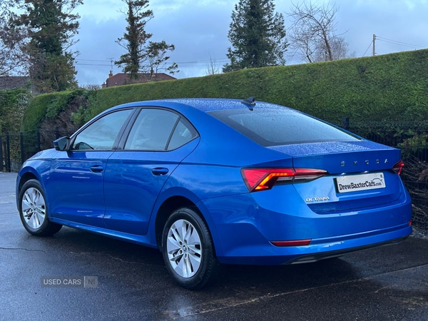 Used Skoda Octavia 2023 for sale - 76787364: Photo 11