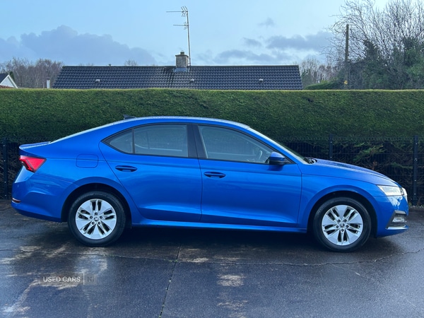 Used Skoda Octavia 2023 for sale - 76787364: Photo 3