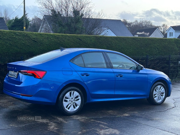 Used Skoda Octavia 2023 for sale - 76787364: Photo 5