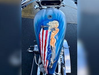 Used Harley-Davidson TOURING 2013 for sale - bike-77139877: Photo