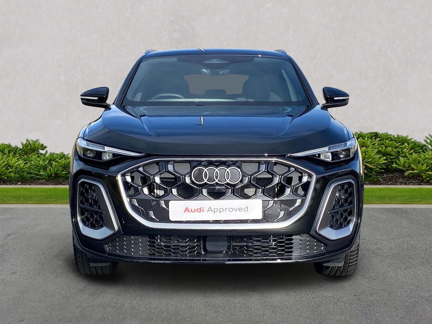 Used Audi Q5 2025 for sale - 77489249: Photo 5