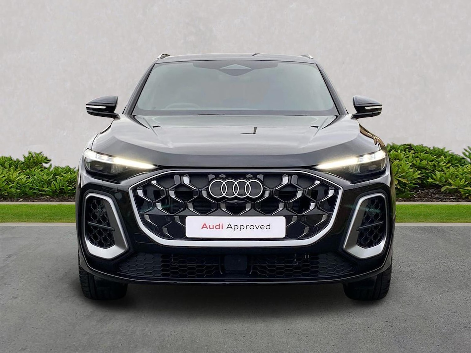 Used Audi Q5 2025 for sale - 77489255: Photo 5