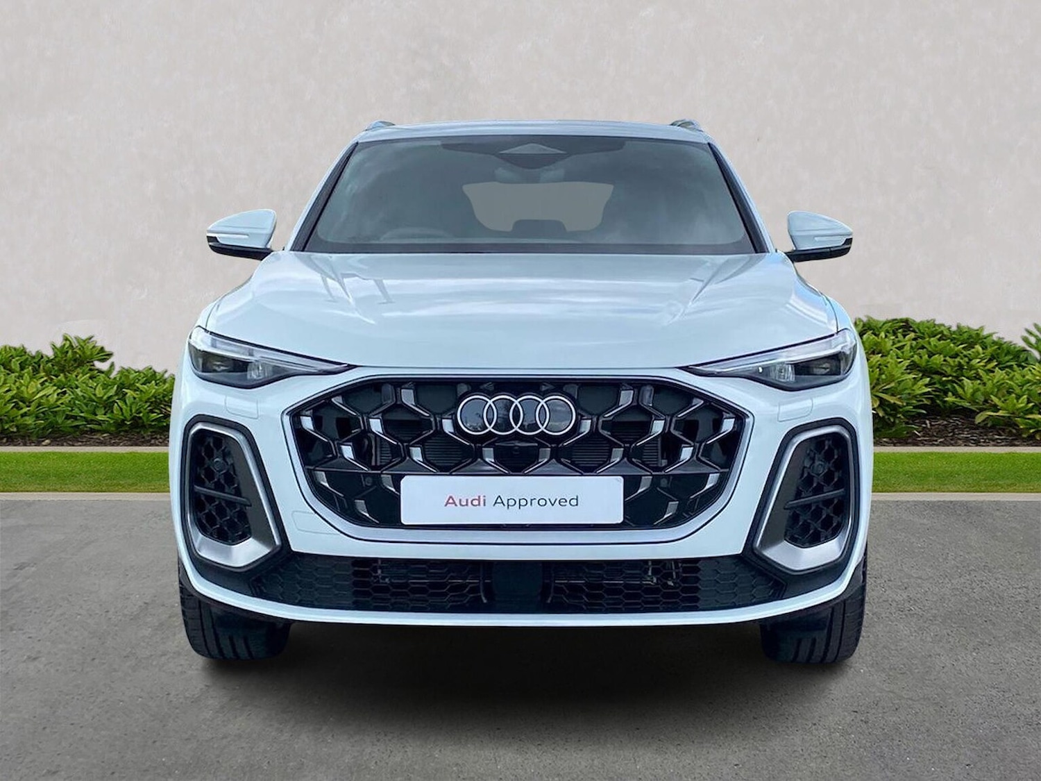 Used Audi Q5 2025 for sale - 77901686: Photo 5