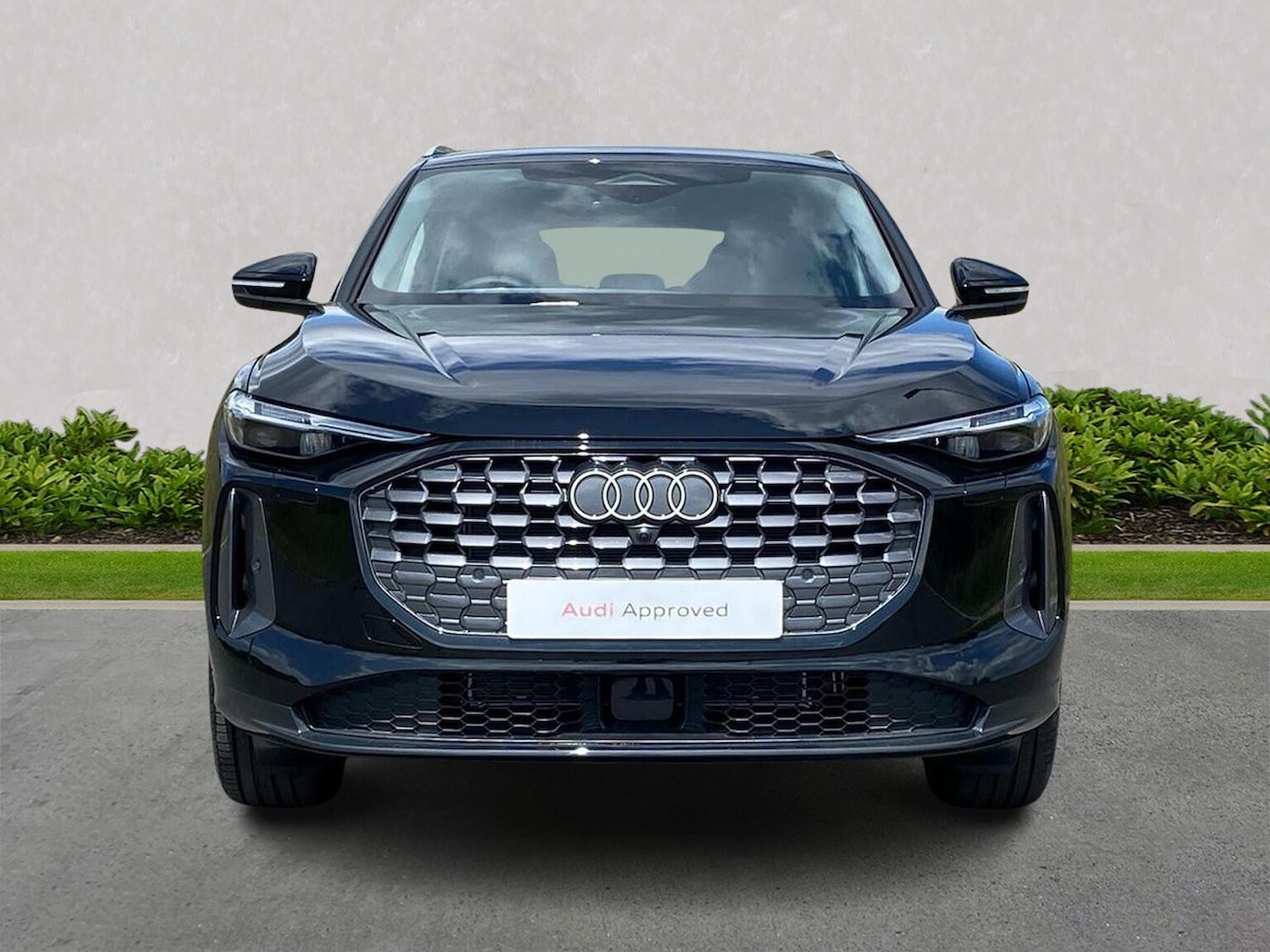 Used Audi Q5 2025 for sale - 76165086: Photo 5